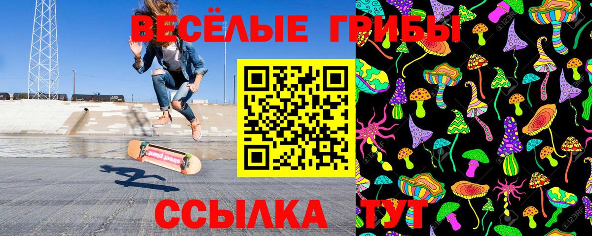 Пенза  Галлюциногенные грибы Psilocybe  Галлюциногенные грибы мицелий  Вход с VPN 